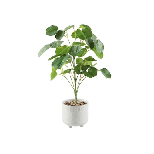 Flora Bunda® 17.5" Green Pilea in Footed White Ceramic Planter | Michaels®